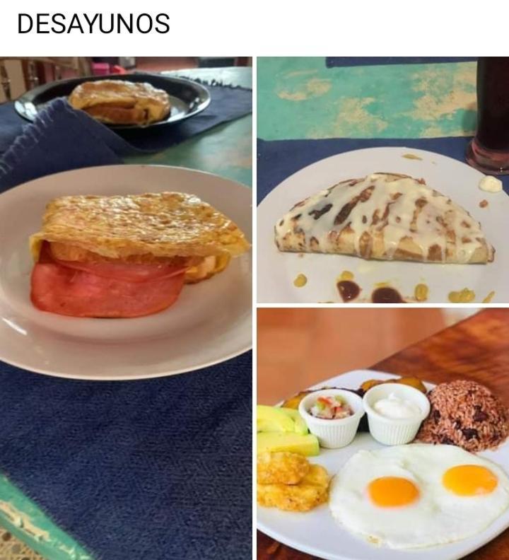 غرناطة Hostal Don Gato المظهر الخارجي الصورة