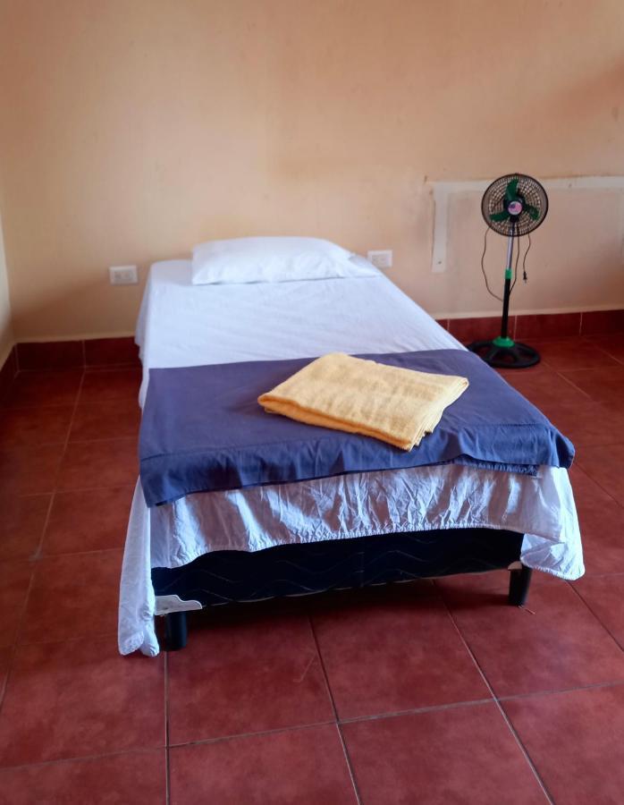 غرناطة Hostal Don Gato المظهر الخارجي الصورة